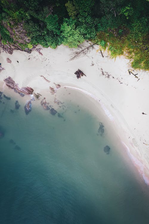 Top View of a Beach