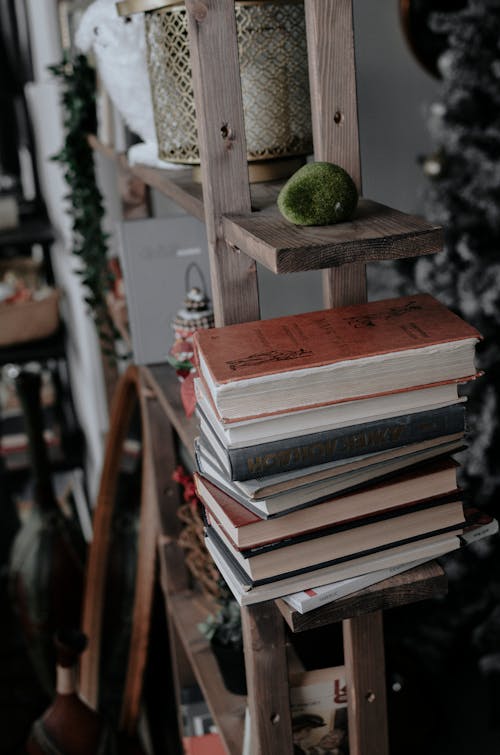 Stack of Books on Brown Wooden Shelf