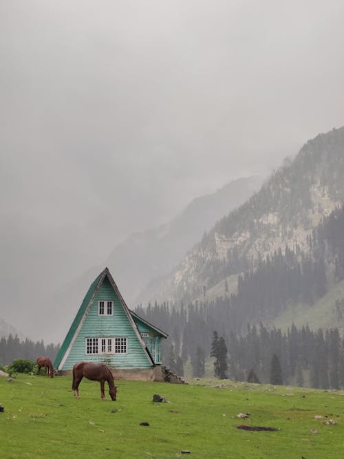 A Green Triangle House and Horses Near the Foggy Mountains