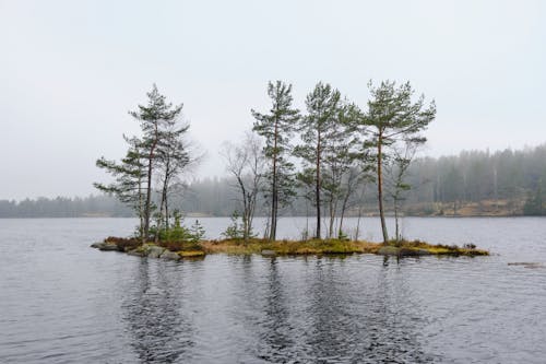 açık hava, ada, ağaçlar içeren Ücretsiz stok fotoğraf