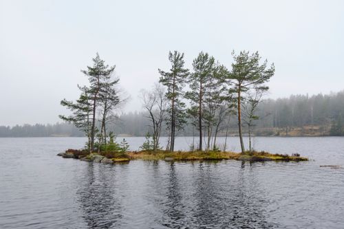 Free A small, foggy island with pine trees in a calm lake, offering a peaceful nature scene. Stock Photo
