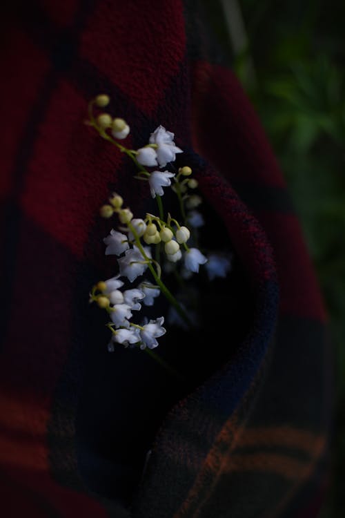 White Flowers on Red Textile