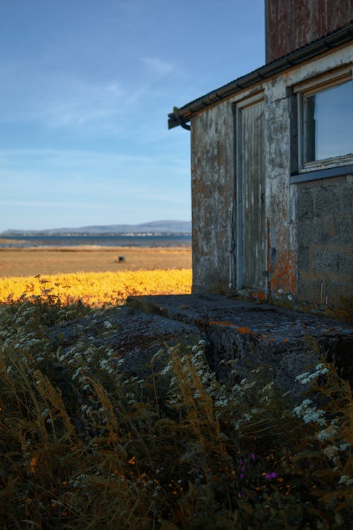 Free stock photo of abandoned building, abandoned house, agricultural field Stock Photo