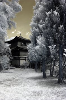 一座传统日本建筑的红外照片，周围被积雪树木环绕