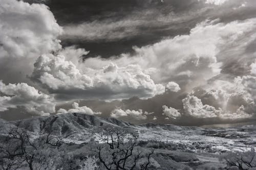 Gratis Árboles Cubiertos De Nieve Bajo Nubes Cumulonimbus Foto de stock