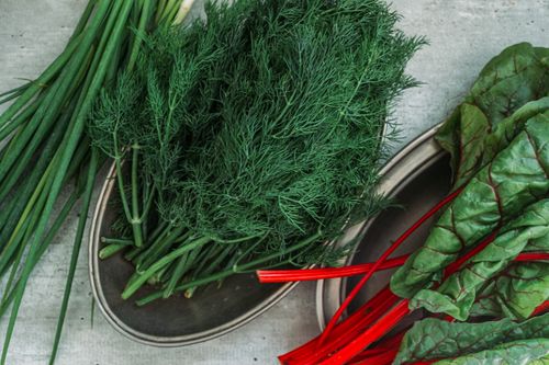 Free Top view of fresh dill, green onions, and Swiss chard displayed on a table. Stock Photo