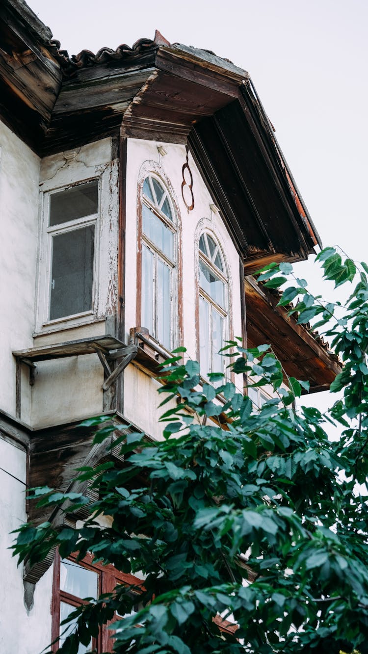 Glass Windows On White Wooden House Near Green Leaves