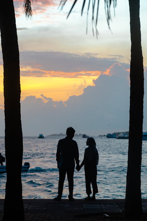 Silhouette of Couple Standing on Seashore during Sunset
