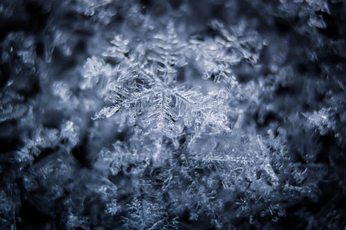 Close-Up Shot of Snowflakes