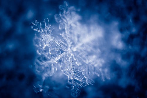 Close-Up Shot of a Snowflake