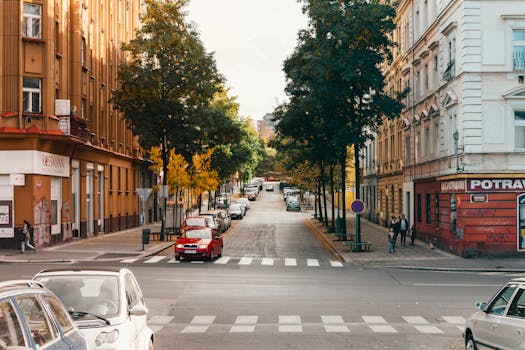 漫步在充满活力的布拉格街道，欣赏经典建筑与秋日落叶