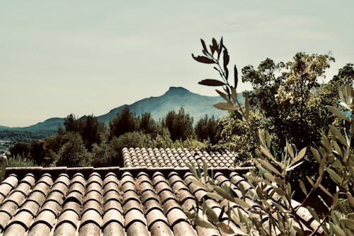 夏天, 屋頂, 山丘 的 免费素材图片