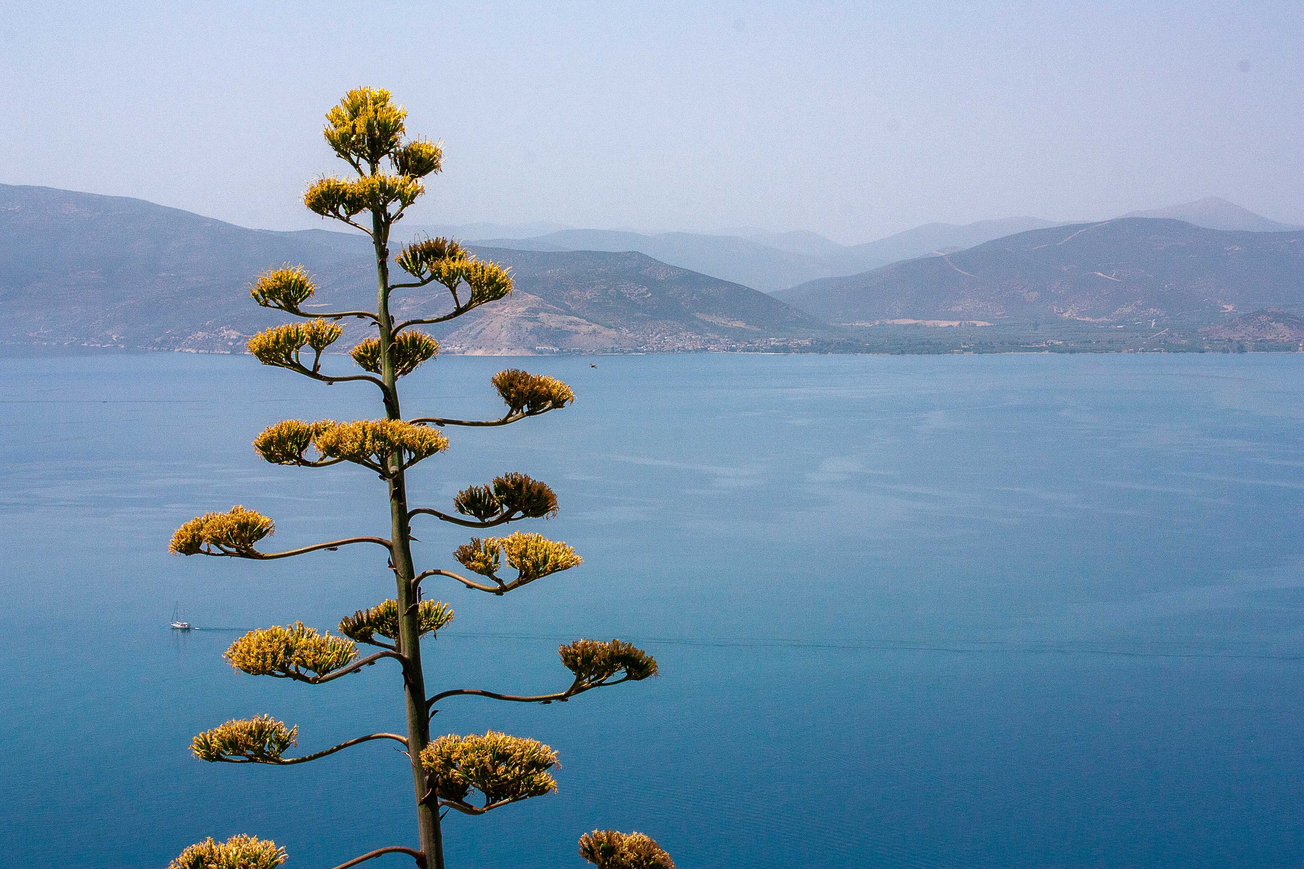 Nafplio