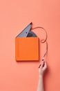 Person Holding Orange and Gray Book