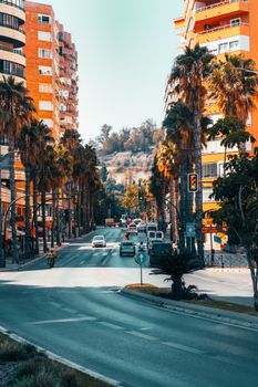 Bus bustling city street lined with palm trees and vibrant buildings under a clear sky.