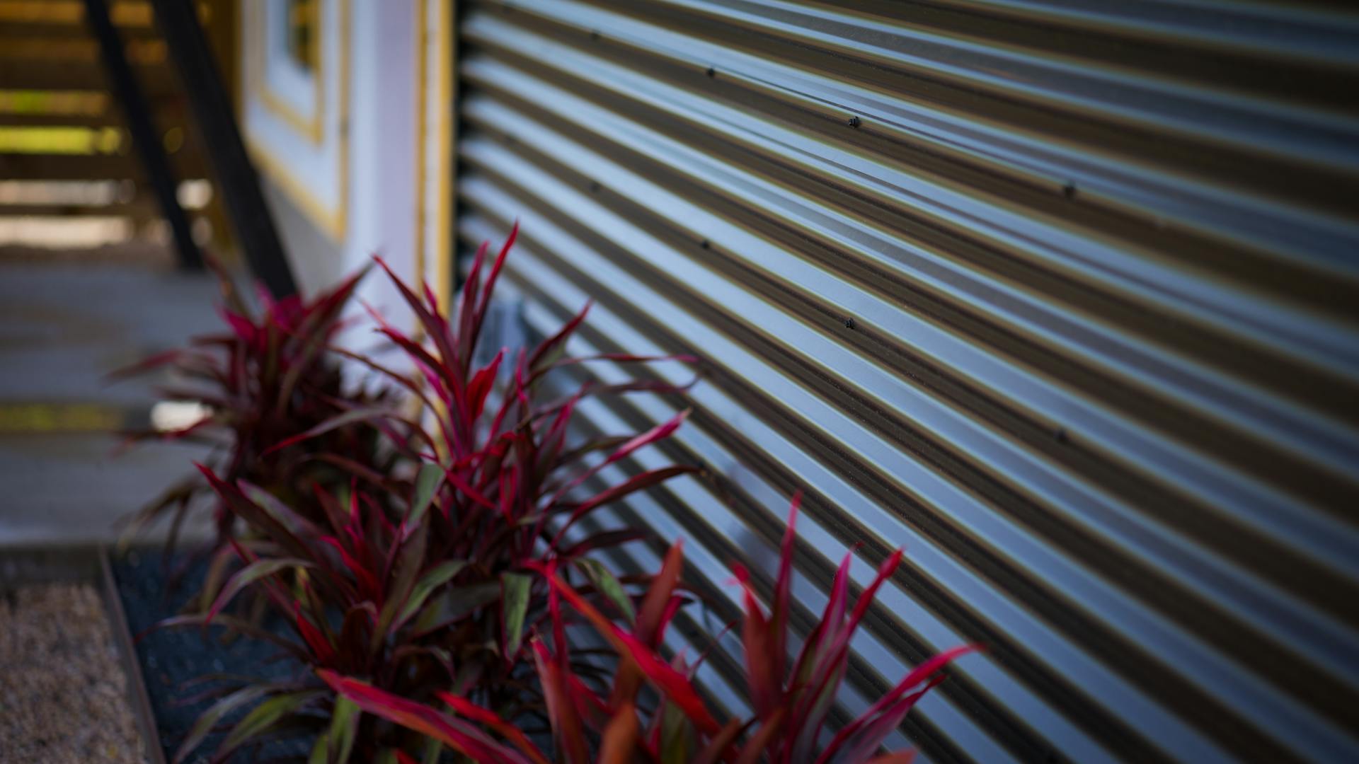Colorful plants beside a corrugated metal wall, showcasing texture and design contrast.