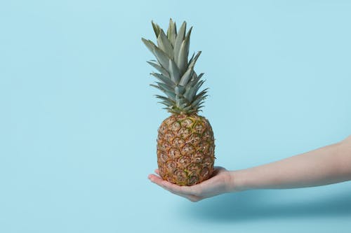 Person Holding a Pineapple on Blue Background 