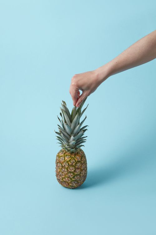 Free A hand gently touches the top of a fresh pineapple against a pastel blue background, emphasizing tropical freshness. Stock Photo