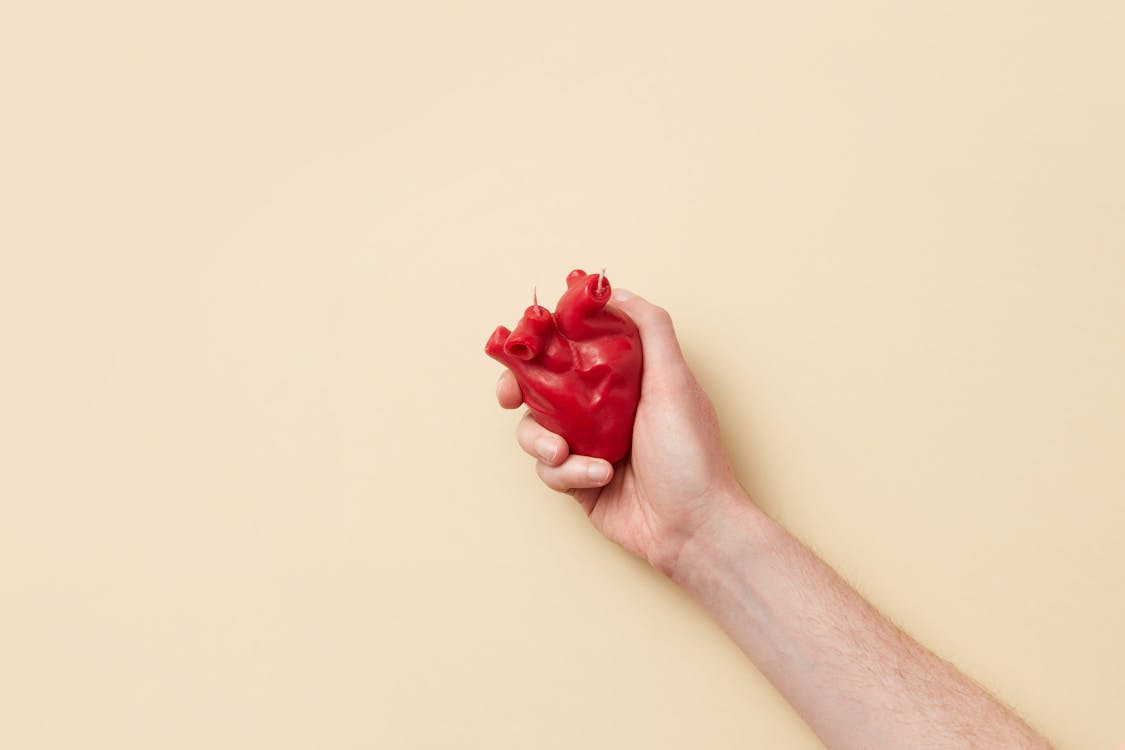 Photo of a Person's Hand Holding a Red Heart