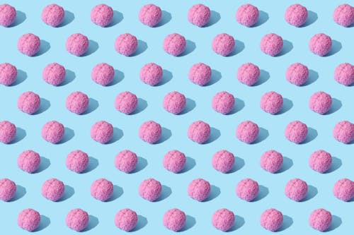 Photograph of Pink Brains on a Blue Surface