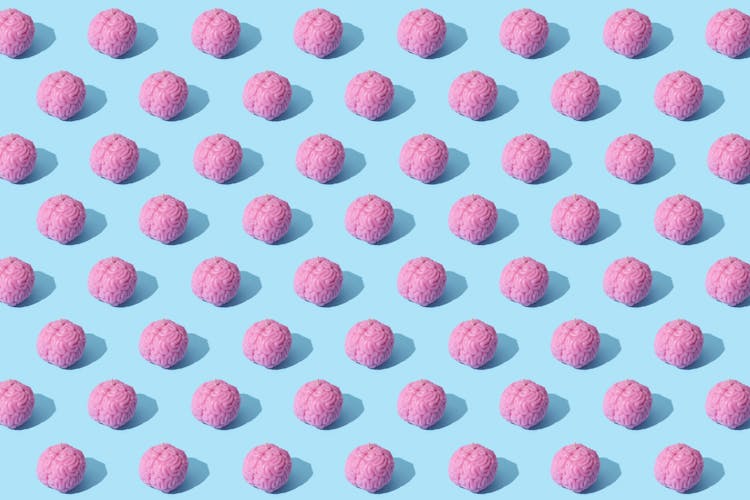 Photograph Of Pink Brains On A Blue Surface