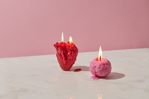 Photograph of a Heart Candle Beside a Brain Candle