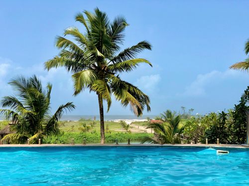Free Serene tropical scene with palm trees and pool at a Goa resort. Stock Photo