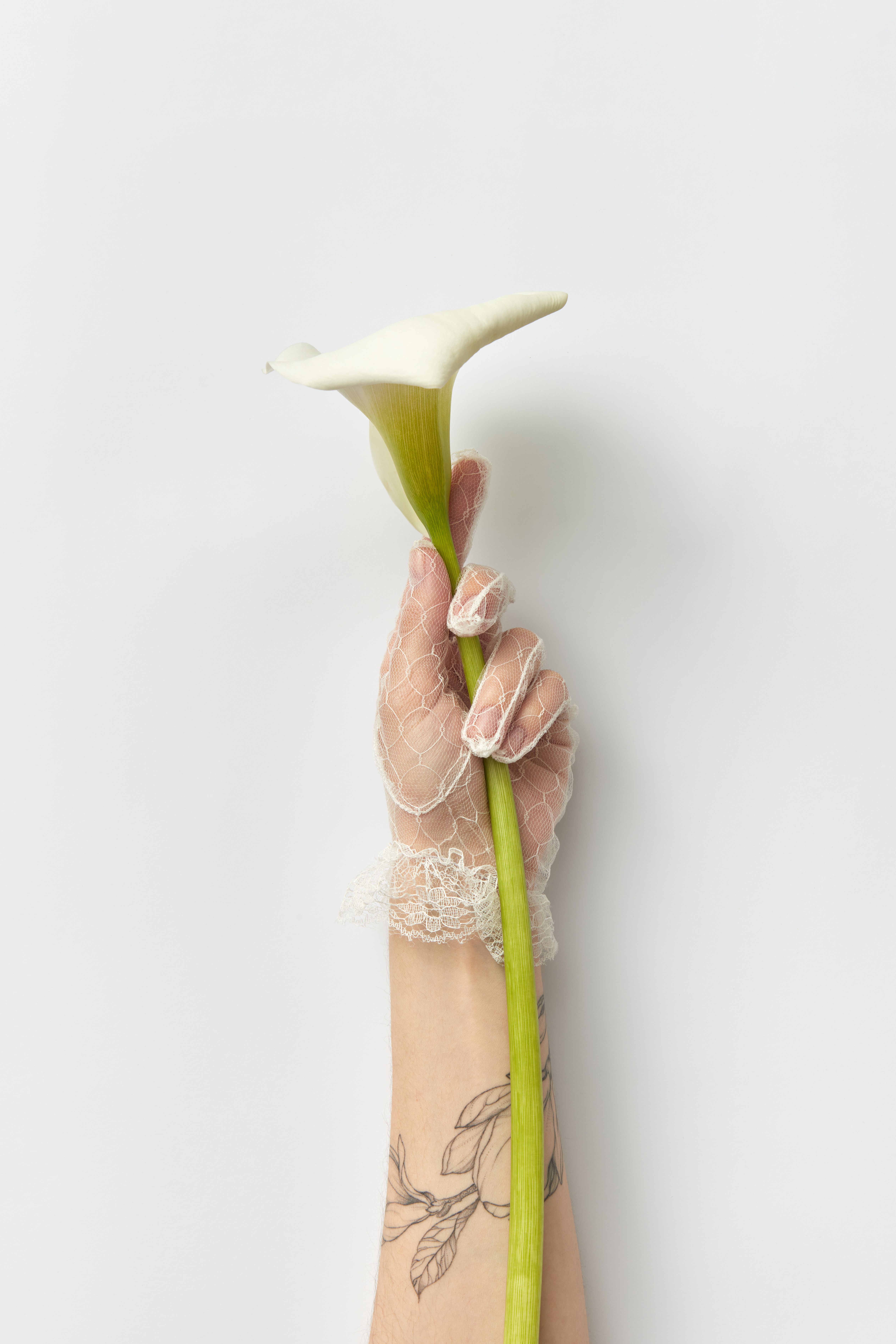 Woman Hand in Glove Holding Flower · Free Stock Photo