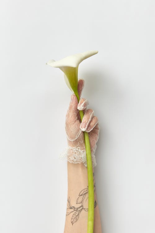 Woman Hand in Glove Holding Flower