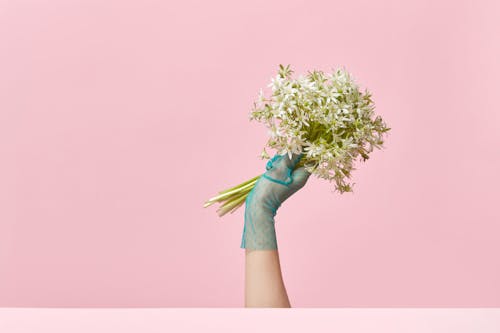 Free A Hand with Glove Holding a Bunch of White Flowers Stock Photo