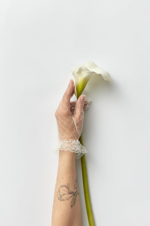 Kostnadsfri bild av blomma, håller, hand