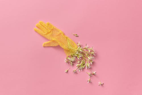 Rubber Glove and Scattered Flowers on Pink Backround