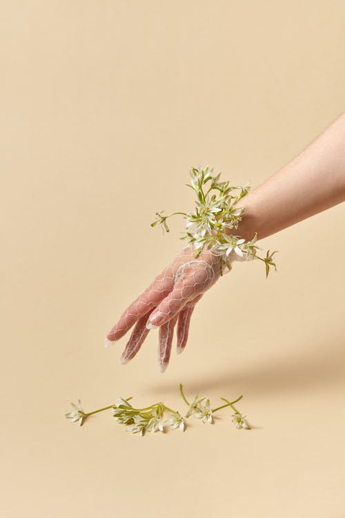 A Hand About to Pick Up White Flowers on the Ground