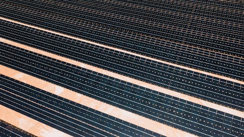 Aerial Shot of Solar Panels