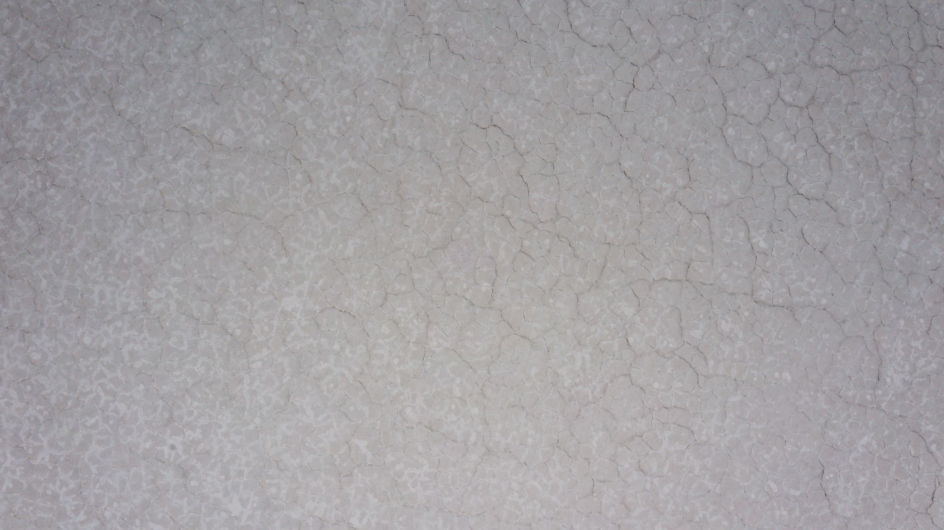 Close-up of cracked cement texture, ideal for backgrounds and design use.