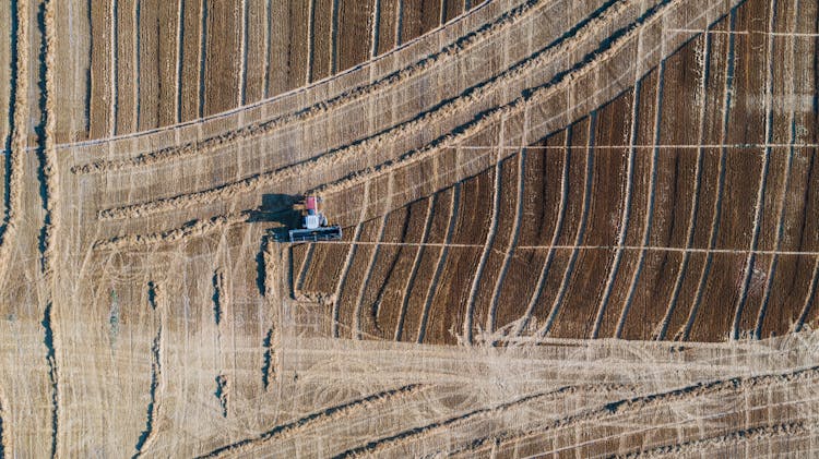 A Tractor Plowing The Field