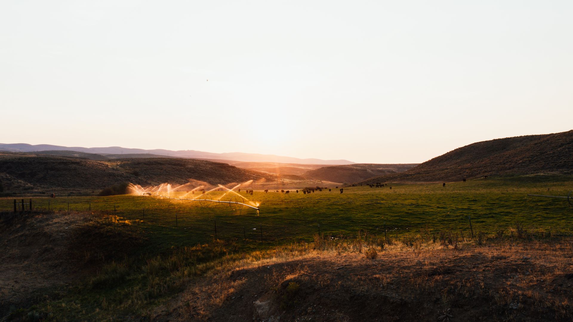 Parcela agrícola regada al atardecer entre colinas