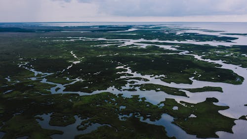 Fotos de stock gratuitas de campos, fotografía aérea, grabaciones con drones