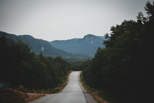 Quiet road winding through lush forest with mountain backdrop, evoking peace and tranquility.