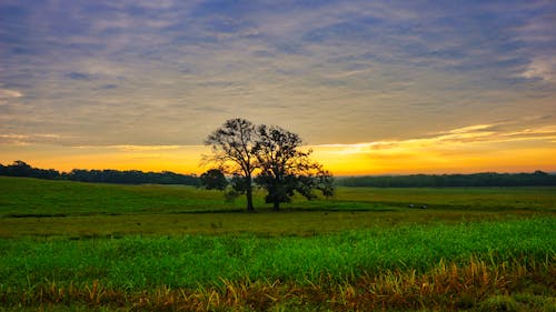 Fotobanka s bezplatnými fotkami na tému dedinský, farby východu slnka, fotografovanie krajiny