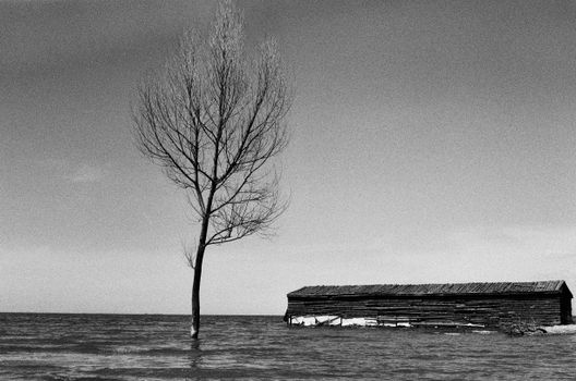 Black and white image of a bare tree and house in a flooded area, evoking solitude.