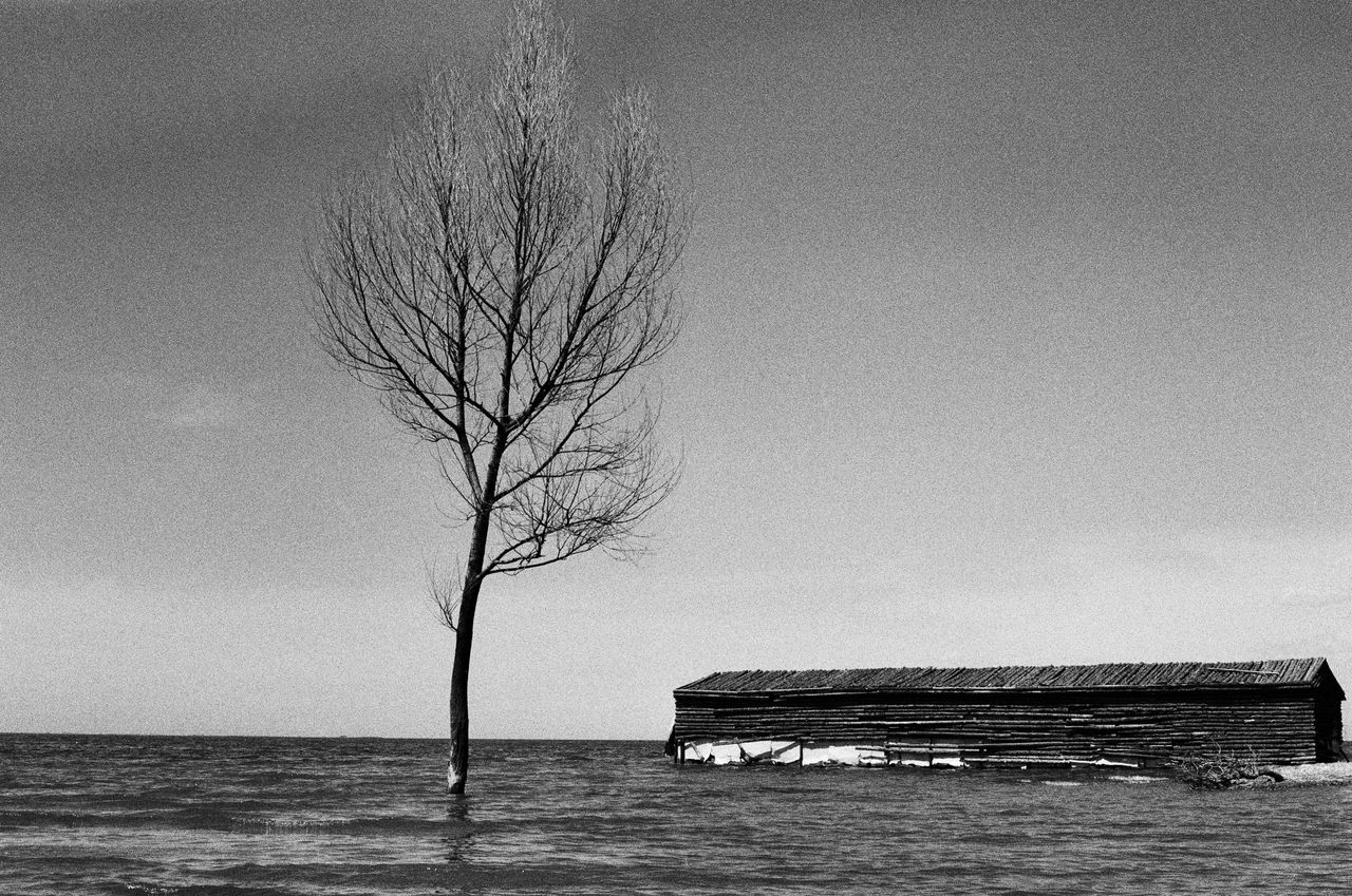 black and white image of a bare tree and house in a flooded area evoki