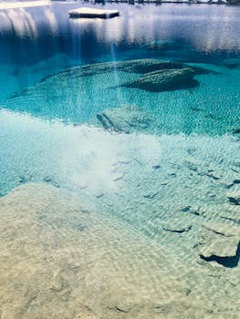 A serene view of crystal clear water revealing submerged rocks in a Swiss lake. by Kilian M