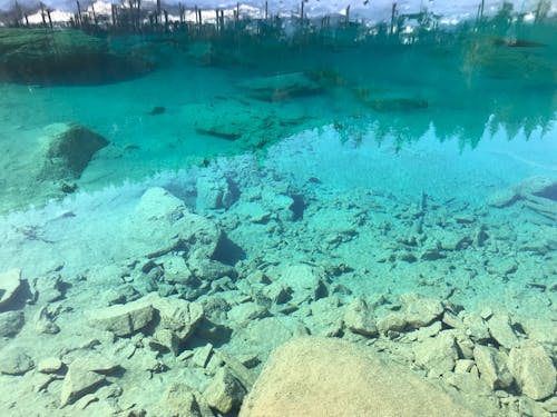 Immagine gratuita di acqua cristallina, acque azzurre, alberi