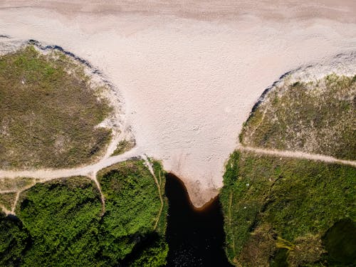 Aerial Photography of Mountain With Trees