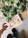 Green Leafed Plant