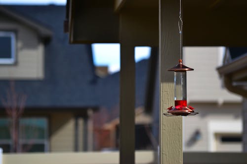 Selectieve Aandacht Fotografie Van Hangende Decor