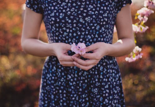免费 妇女在蓝色和白色的花裙子，手上有粉红色的花 素材图片