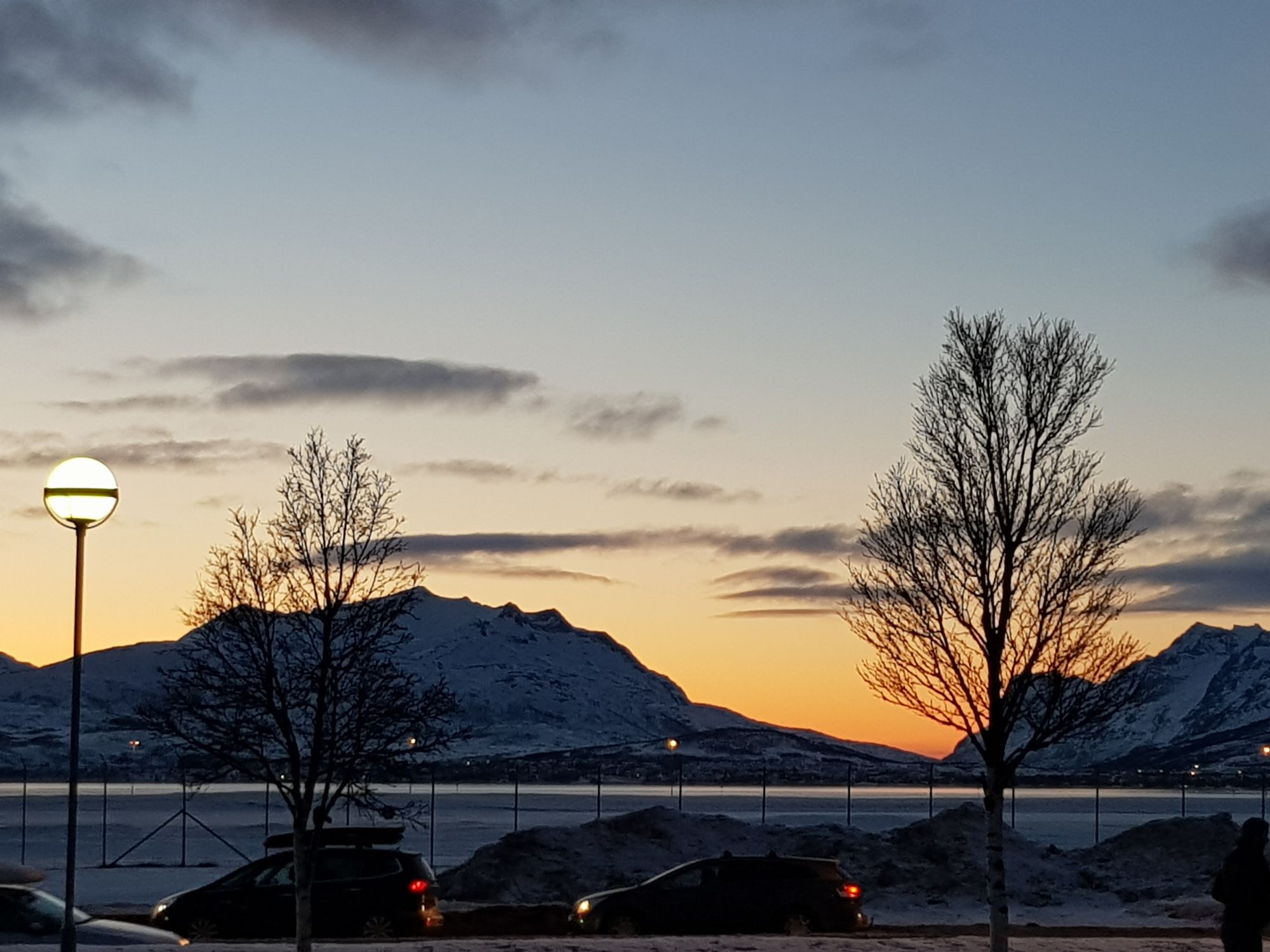 Scenic view of Tromso's winter sunset highlighting snow-covered mountains and silhouetted trees.