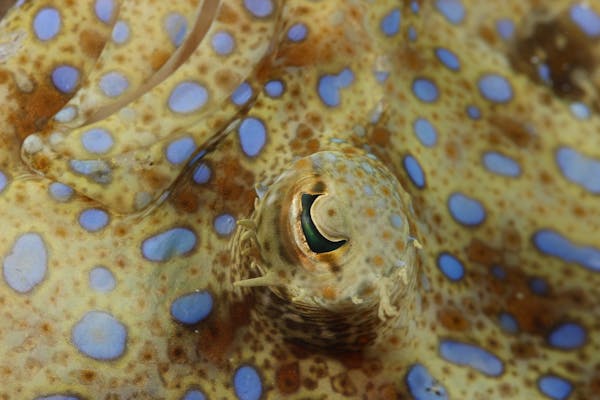 첫 충전 혜택 요약 다양한 이벤트 - 슬롯전략